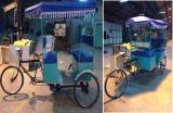 Pedal Assisted High Power E-rickshaw